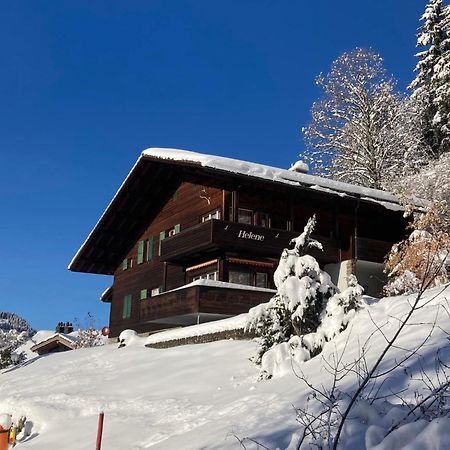 Apartment Helene Apt Diana By Interhome Wengen Kültér fotó