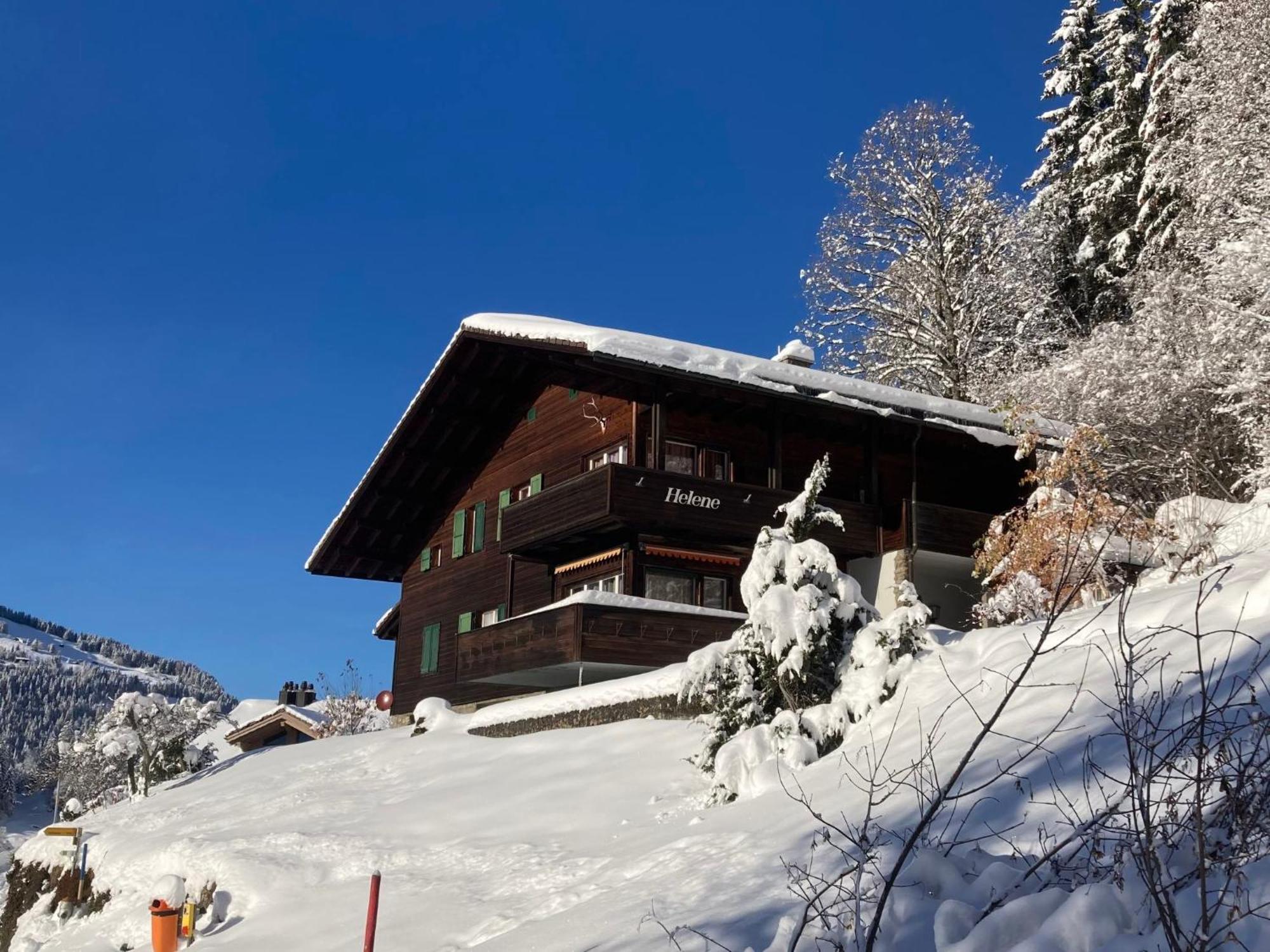 Apartment Helene Apt Diana By Interhome Wengen Kültér fotó