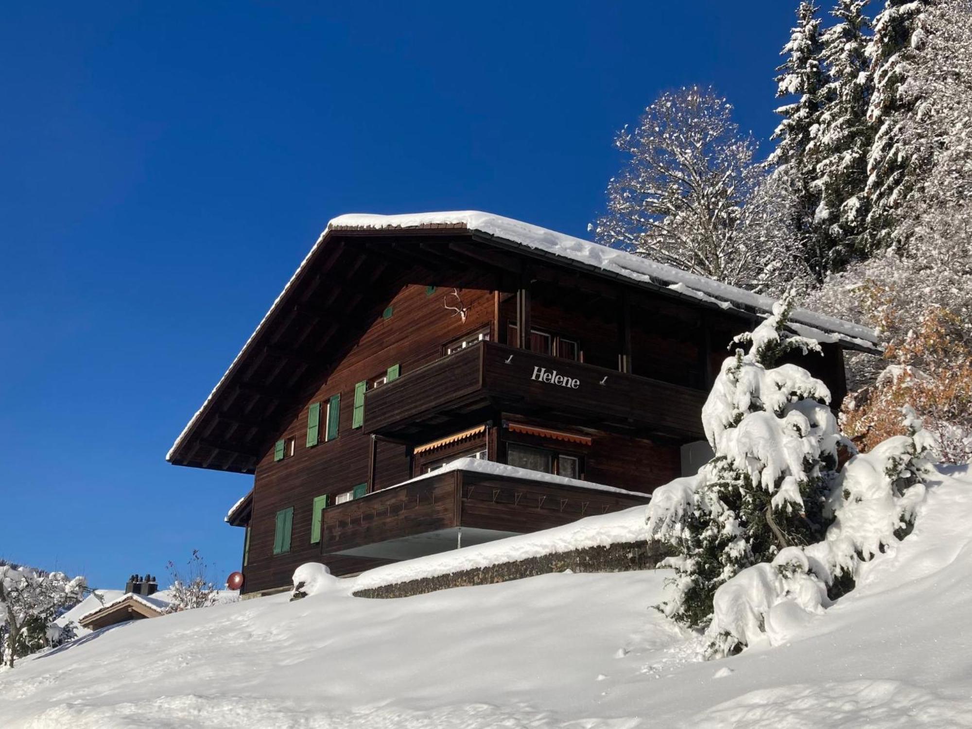 Apartment Helene Apt Diana By Interhome Wengen Kültér fotó